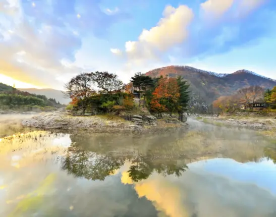 비대면지수 별이 다섯 개, 가을 관광지 100선 중 베스트는?