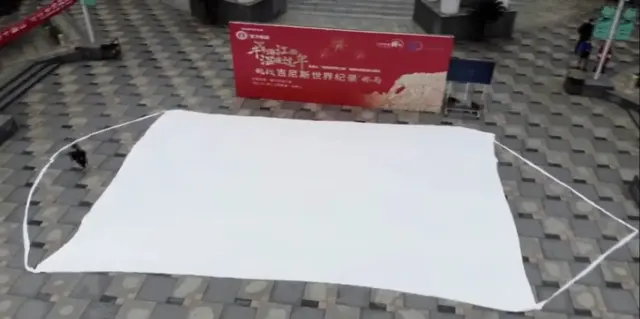 기네스북에 오른 ‘역대급 스케일 마스크’ 정체가…