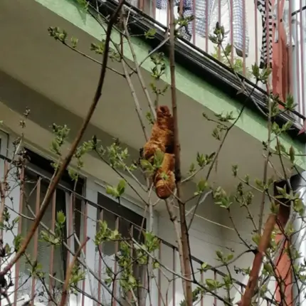 “우리 집 창문에 괴물이 있어요!!” 알고 보니 0000??