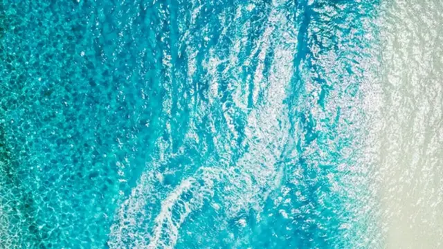 백신 관광 시대 열리나…일부국 자가격리 면제 ‘꿈틀’