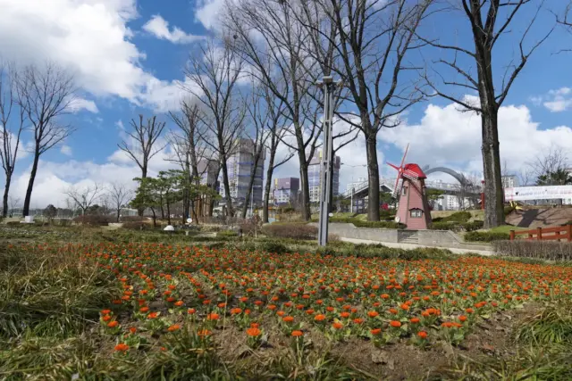 증평군 25억 들인 보강천 조성 사업 5년만에 마무리