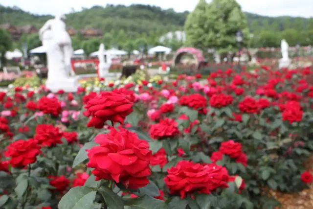 프랑스 관광청, 파리 감성 물씬 풍기는 에버랜드로 초대