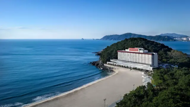 정용진 야심작 그랜드 조선, 전통의 웨스틴 조선 둘 다 묵고 싶다면…