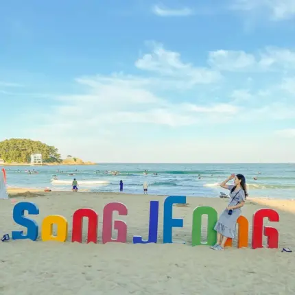 휴가 고민 중? 고르고 고른 부산 안심관광지 10곳