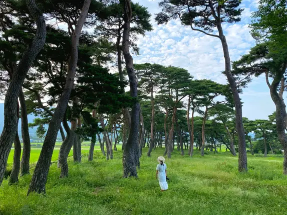 ‘여긴 몰랐다’ 숨은 보석같은 보성 여름여행지 5선