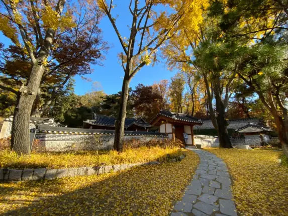 추석 때 잠시 나들이? 억새가 유혹하는 비대면 가을 여행지 25선