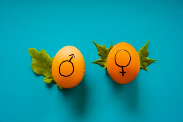 ‘화성에서 온 남자, 금성에서 온 여자’ 입증한 아프리카 민족