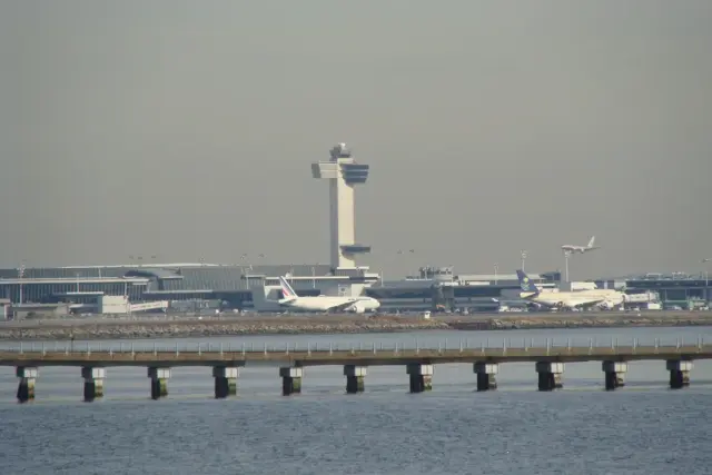 강아지와 입국 가능한 美공항 오직 3군데, 도대체 어디?