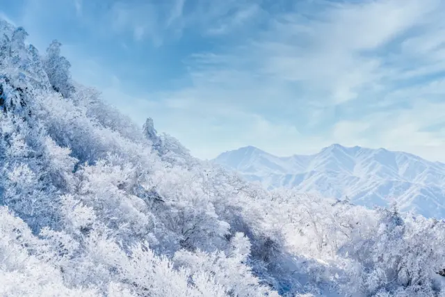 국내에서 가장 아름답다는 눈꽃산행지 TOP4