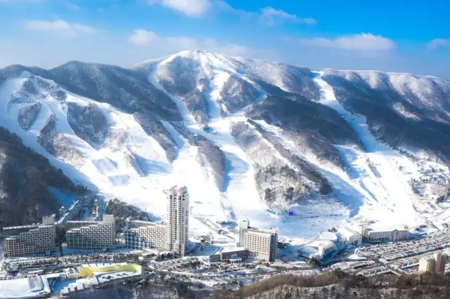 올겨울도 해외 못 나가자… 국내 겨울여행지 검색량 37% 증가