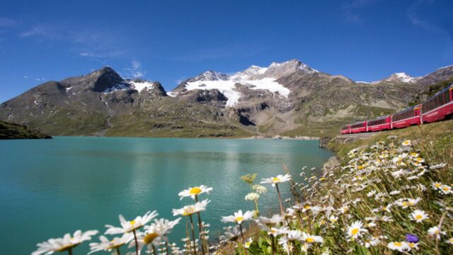 “뚜벅이들 오세요!” 작정하고 대중교통으로 여행하기 편하게 시스템 구축한 이 나라