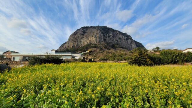 제주 속 작은 한라산, 설화와 함께 떠나는 산방산 여행