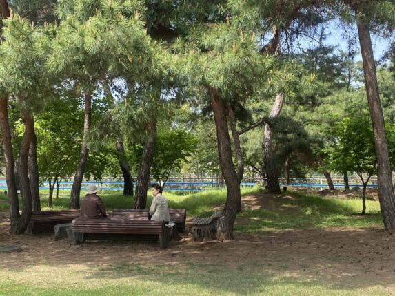 “현금 밖에 없는데…” 6월부터 미국 국립공원 출입 못한다