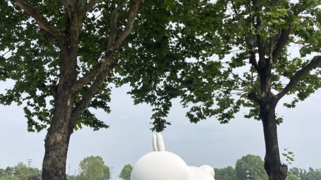 120년 만에 새롭게 태어난 ‘용산 어린이정원’에서 뜻깊은 가족 나들이