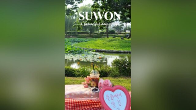 ‘여름 성지’라 불러도 되겠네…수원의 싱그러운 여름 나들이 명소 & 카페 3선