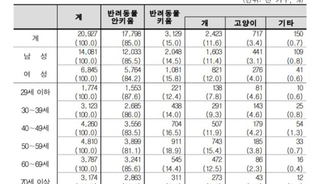 댕댕이와 함께하는 ‘세계 음식 탐방’