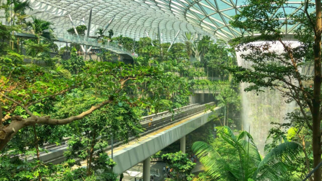 세계 최고 공항 타이틀도 모자라 ‘이것’까지… 싱가포르 공항, 확 바뀐다