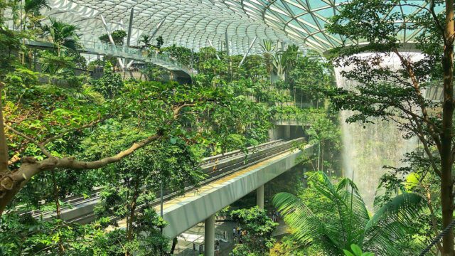 세계 최고 공항 타이틀도 모자라 ‘이것’까지… 싱가포르 공항, 확 바뀐다