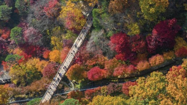“돌아온 계절의 왕 가을” 경기도에서 가을 만끽하는 축제 5선