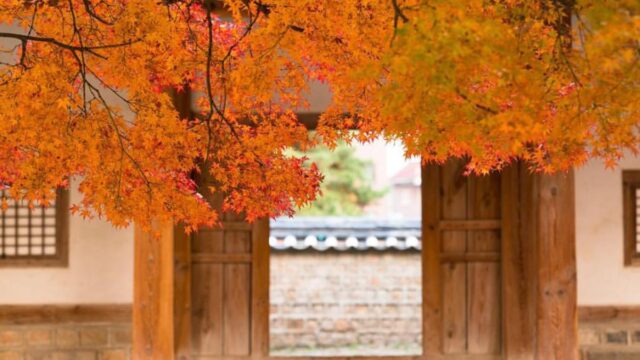 멀리 나갈 필요 없이, 서울에서 즐기는 단풍놀이 명소 top5