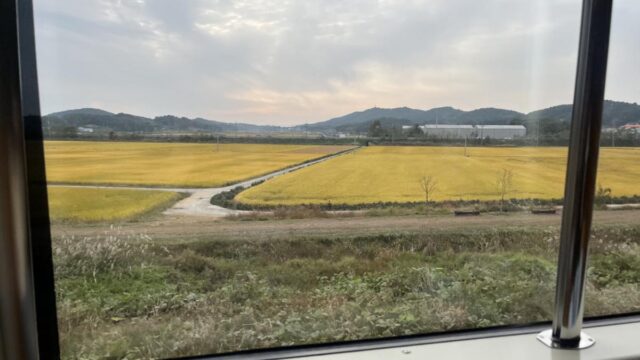 뚜벅이 주목! 금빛 기차 타고 떠나는 군산 당일치기 가을여행
