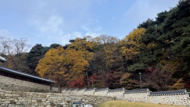 수도권에 이런 ‘볼매 명소’가 있었나…남한산성 100배 즐기기