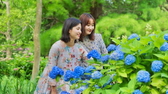 때 이른 불볕더위, 얼리 바캉스 가고 싶다면 ‘6월 기차여행’ 어때