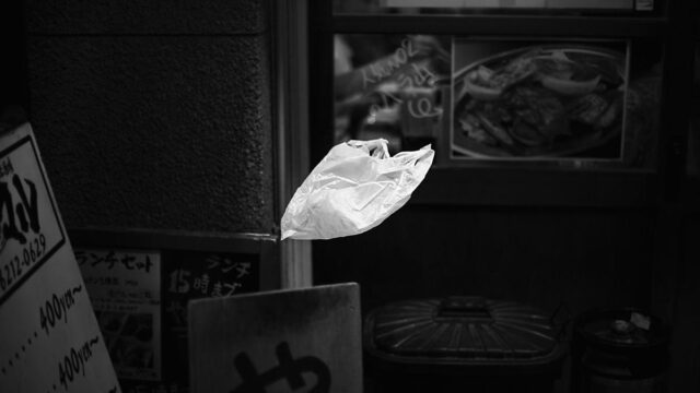 美 캘리포니아, ‘이것’ 사용 전면 금지한다