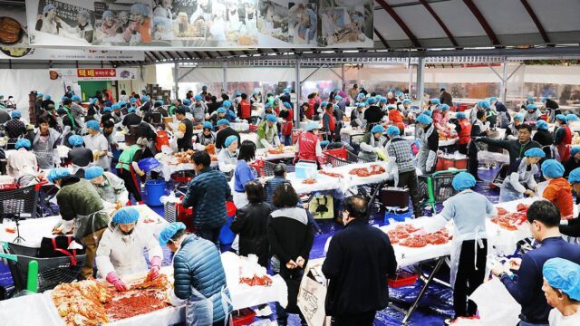 ‘금배추’ 김장도 담그고, 평창서 1박 여행도 하고