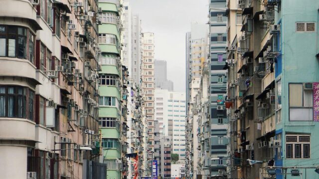연차 내고 홍석천∙육식맨과 홍콩 여행한 직장인들… 무슨 일