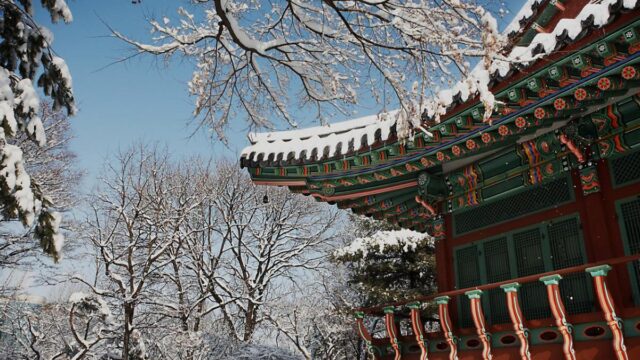 새벽을 여는 셰프의 손맛…메이필드호텔의 설 선물세트 선보여