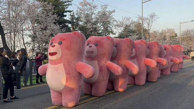 연기와 비바람에도 300만 명 방문한 ‘여의도 봄꽃 축제’
