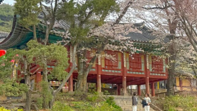 “당신이 왜 여기에…” 장미란 차관이 강화도로 봄나들이 떠난 이유