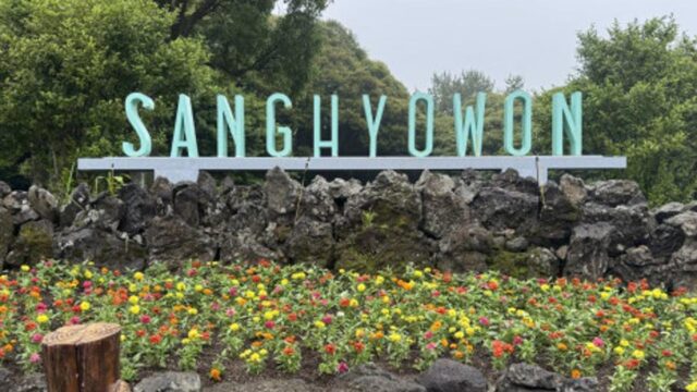 ‘제주 수국 축제 막차 탔다’ 비 머금을 때 더 예쁜 제주 중산간 여행지