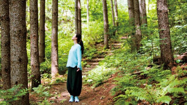 ‘무위의 자유’ 누구나 쉬어갈 권리가 있는, 여름 숲 여행지 3선
