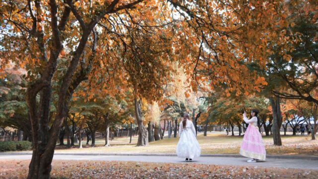 [여행+핫스폿] 외국인이 직접 고른 한국의 숨겨진 보석 같은 여행지 10