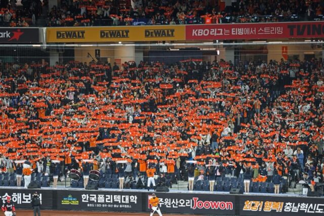 프로야구 효과 남다르네…부산·대구 등서 경제 활성화 ‘톡톡히’