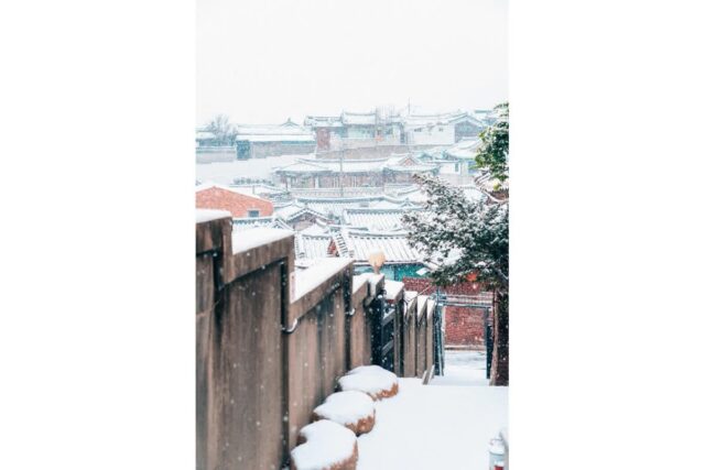 “대만, 중국 아니네”… 올겨울 ‘한국 여행’ 가장 많이 검색한 국가는