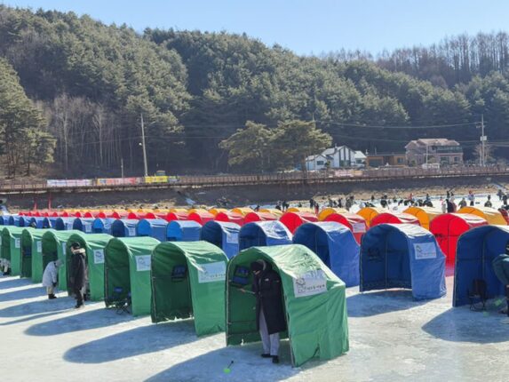 황금송어 잡으면 금 한돈이 ‘공짜’…13만 명 오간 평창 송어축제 가보니 [제철 축제]