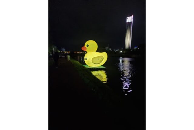 성큼 다가온 초여름에 마주하는 동해의 보랏빛 손짓