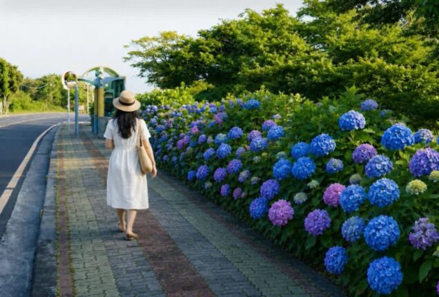 [여행+제주] 뜨겁거나 시원하거나…‘여름 제주’ 제대로 즐기는 7가지 방법